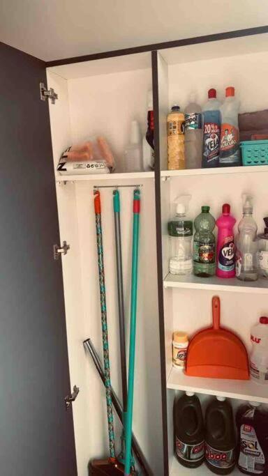 Loft De Luxo Na Germanica